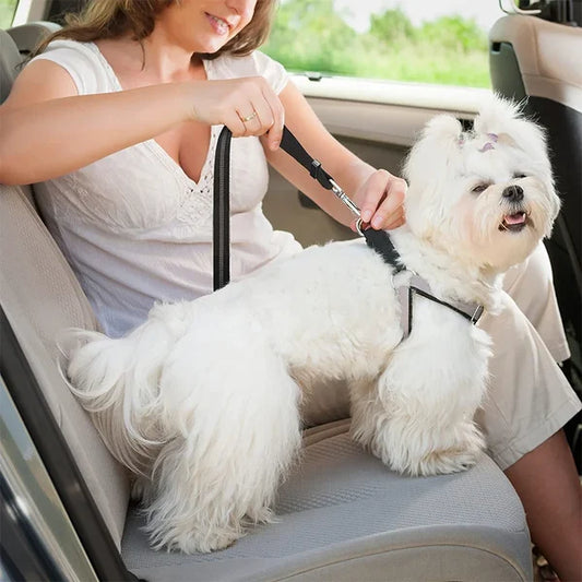 Adjustable Elastic Dog Seat Belt